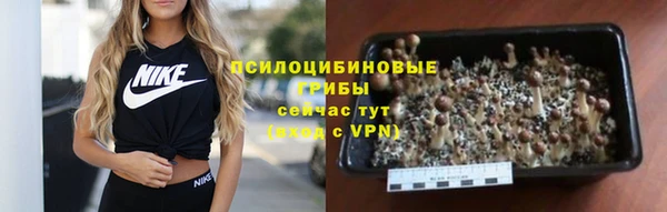 mdma Ельня