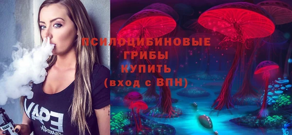 гашик Елабуга