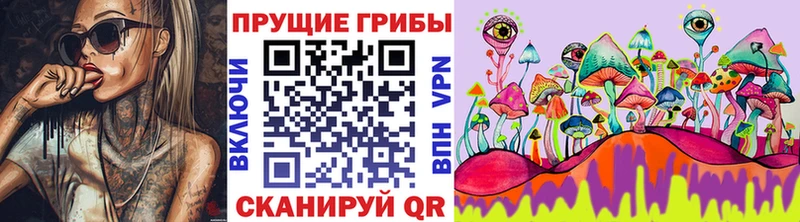 Купить где  Урень  Псилоцибиновые грибы Psilocybe 